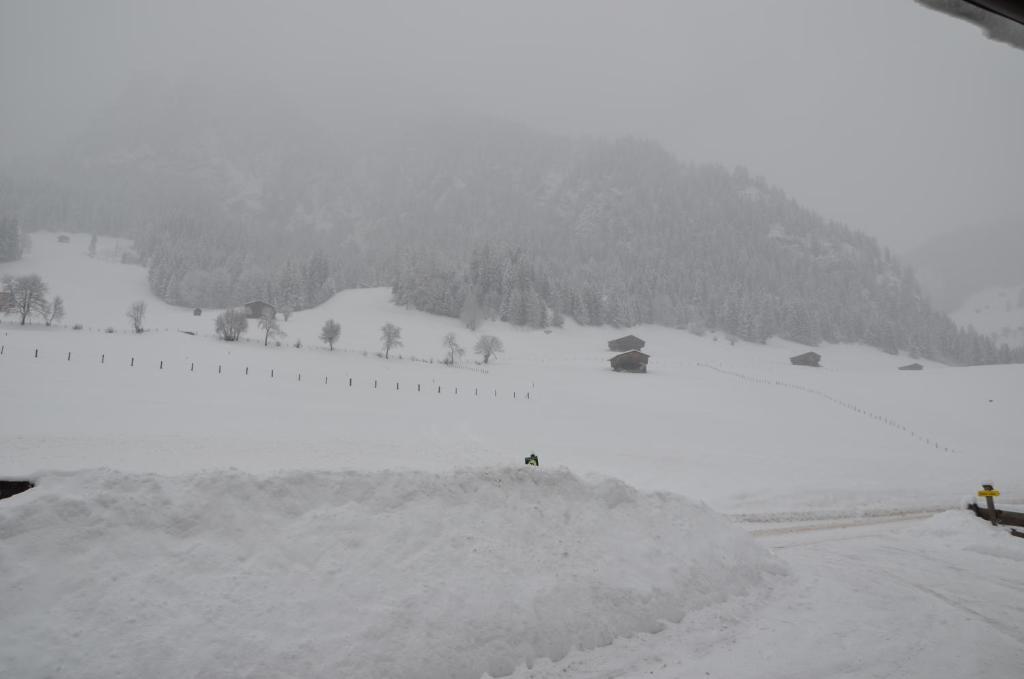 Appartement Leirer Alpbach Rum bild